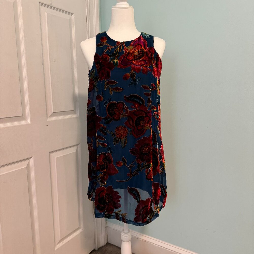 Blue Dress with Firey Red Flowers